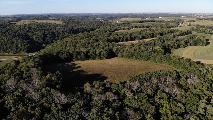 Grant 110 - 13 of 47