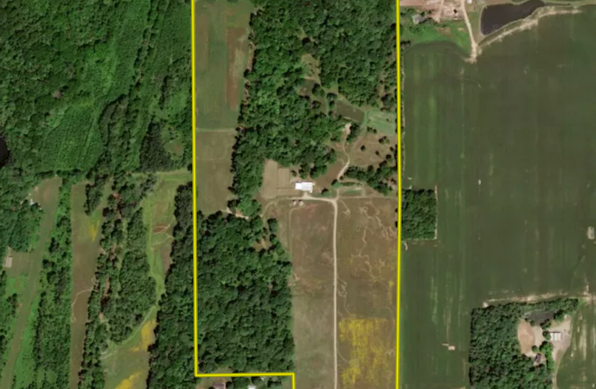 Screen Shot 2025-05-21 at 1.58.51 PM