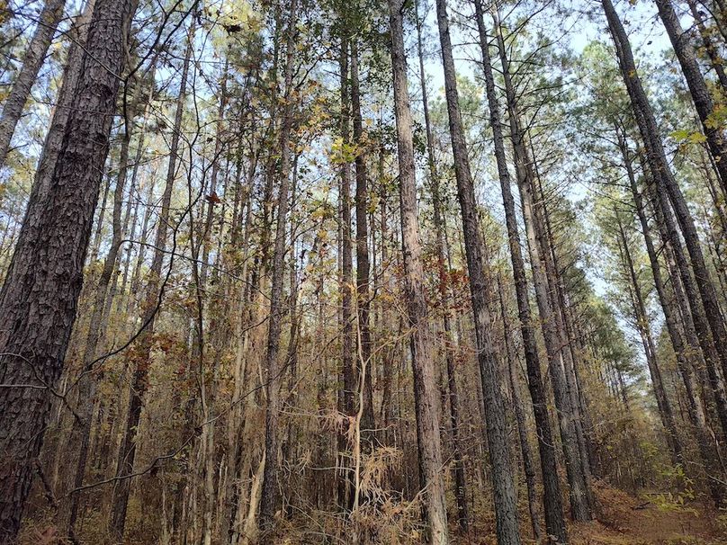 IMG_20251105_145359878_HDR