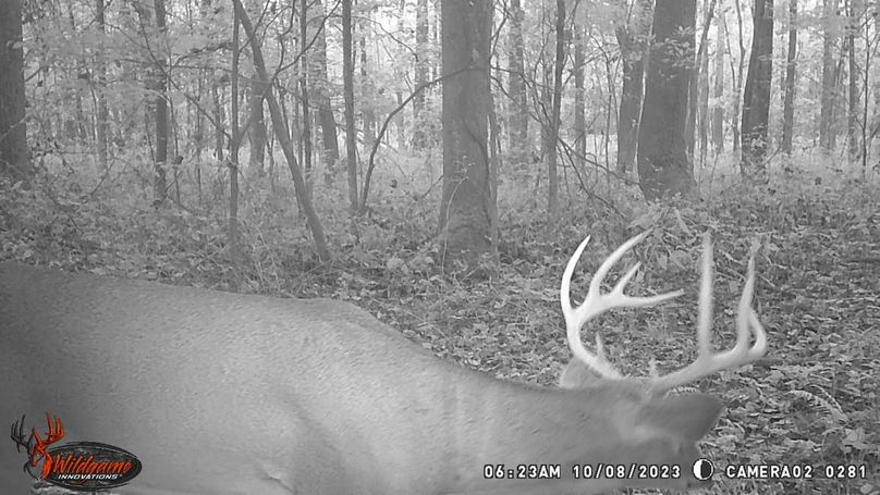 trail cam35