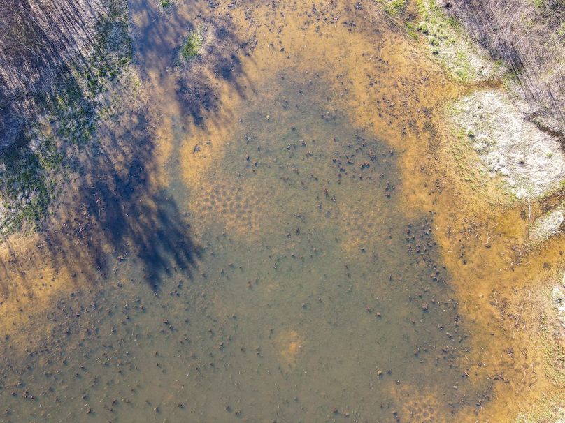 vandalia 450 (2)-2505