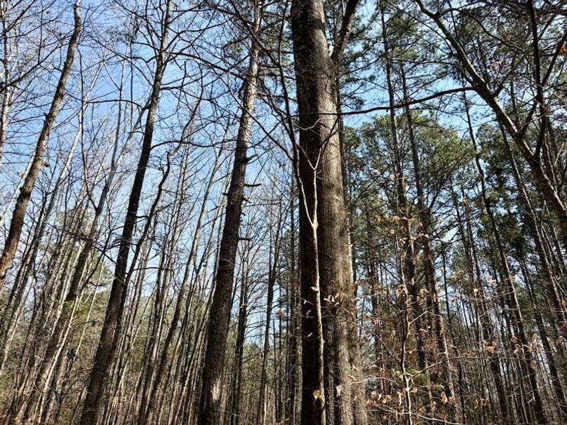 68974FF9-6F4B-4A8D-A70D-6846EBC96511_1_105_c