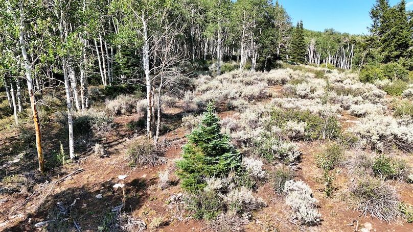 DJI_20250726170653_0109_D