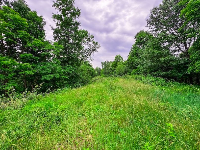 Tyler, WV 313.87 AC -13