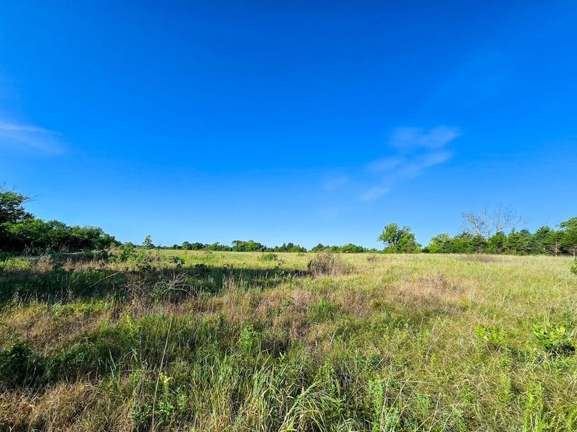 Copy of 20250729_083807