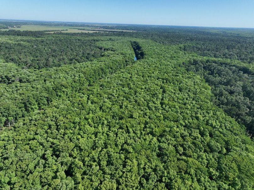 dji_fly_20260513_102124_442_1778687607252_photo