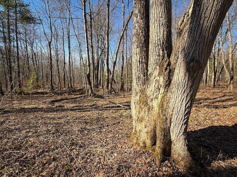 Oswego_16.32_Phillips Photo 12