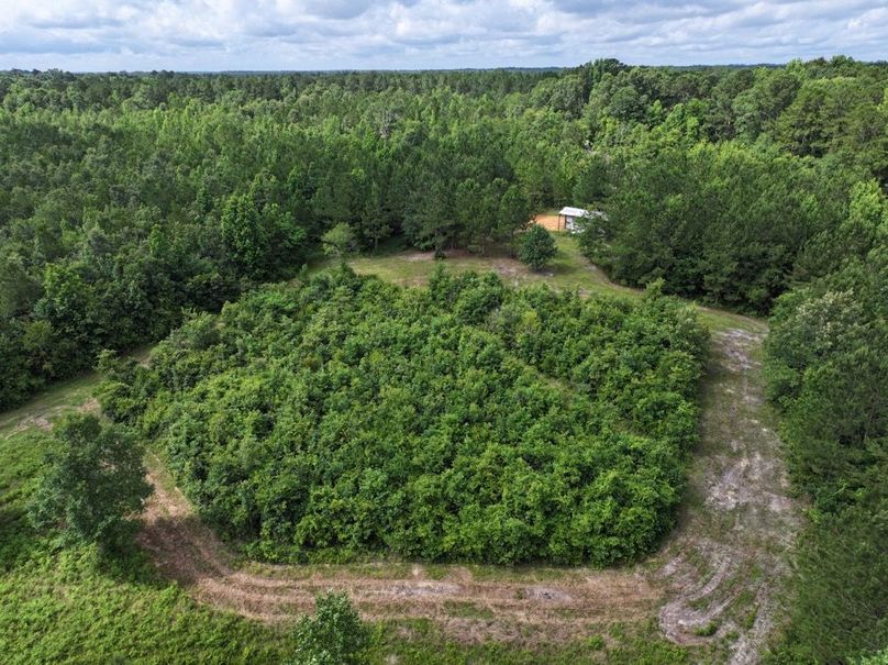 8dji_fly_20250612_102002_0109_1750261383561_photo