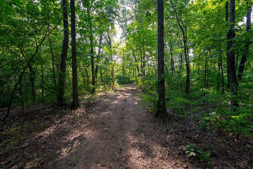 Copy of DSC06210 Large