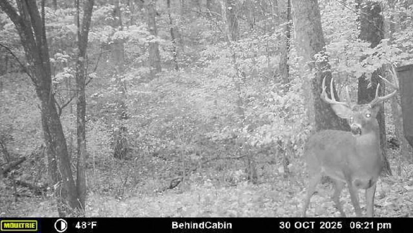 Fleming Petry 120-046