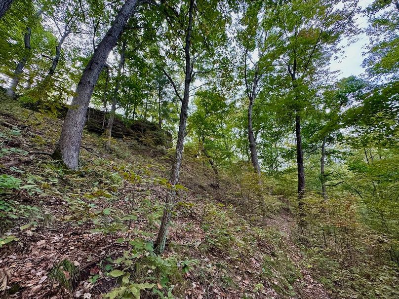 Richland 199Ground - 68