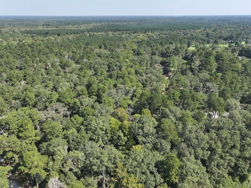 dji_fly_20250826_104040_0370_1756227538875_photo