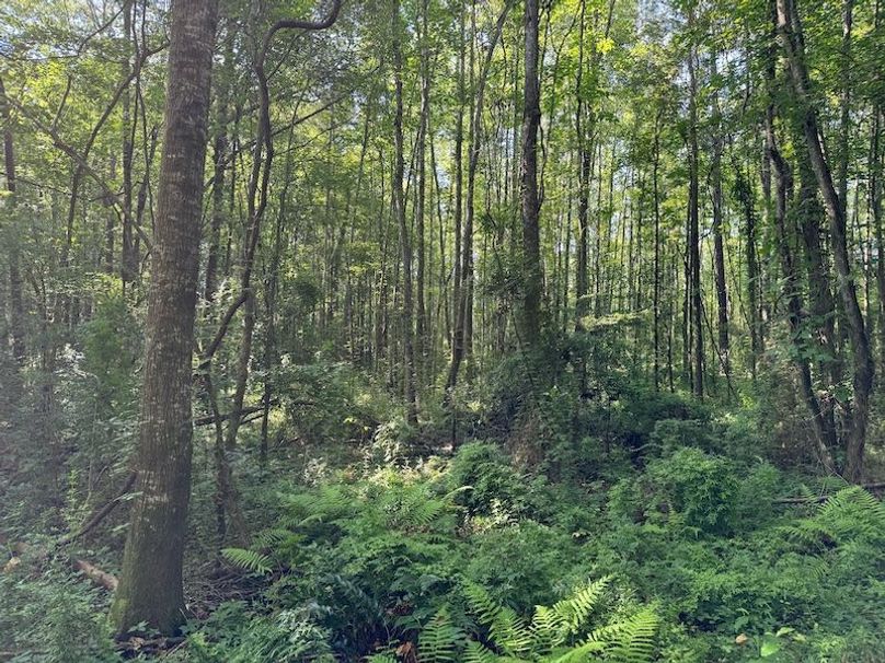 1F23942D-5149-45CC-8A61-53B1A6372616