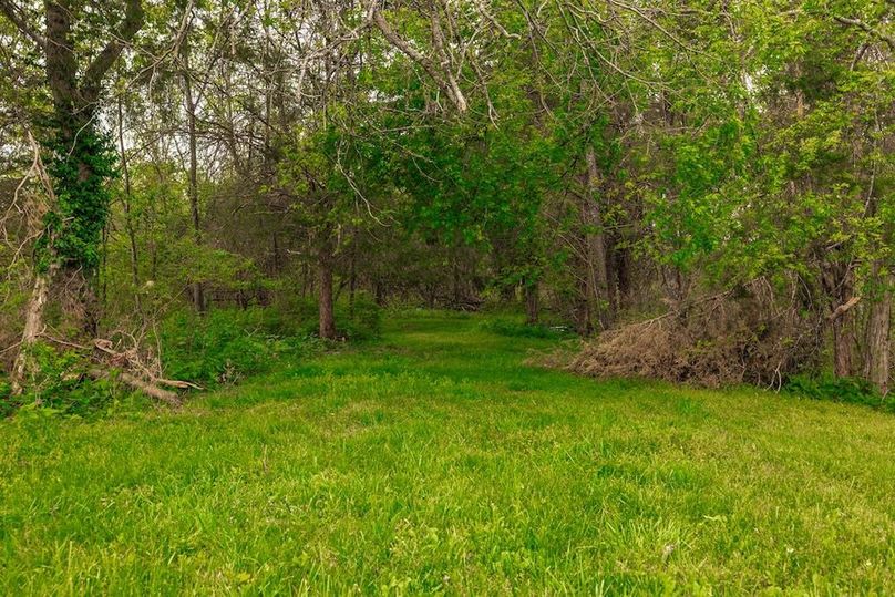 65-web-or-mls-1103 Johnny Spears Rd-53