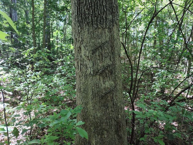 IMG_20250524_123847723