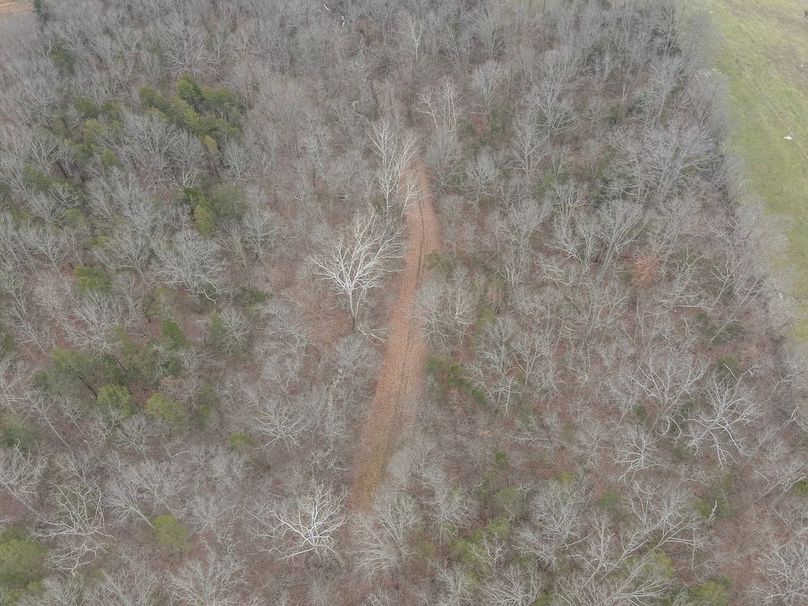 7-DJI_20260115135601_0007_W