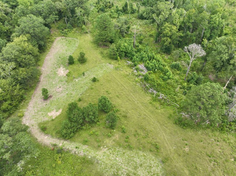 dji_fly_20230803_121954_468_1691080717464_photo