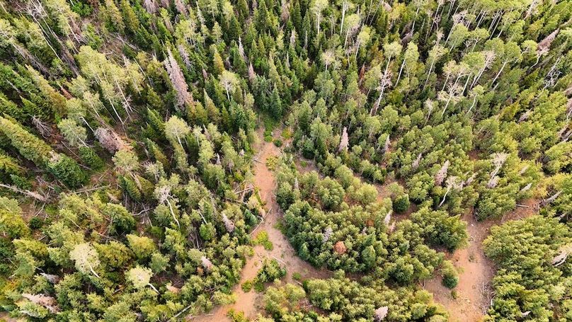 DJI_20250726174955_0169_D