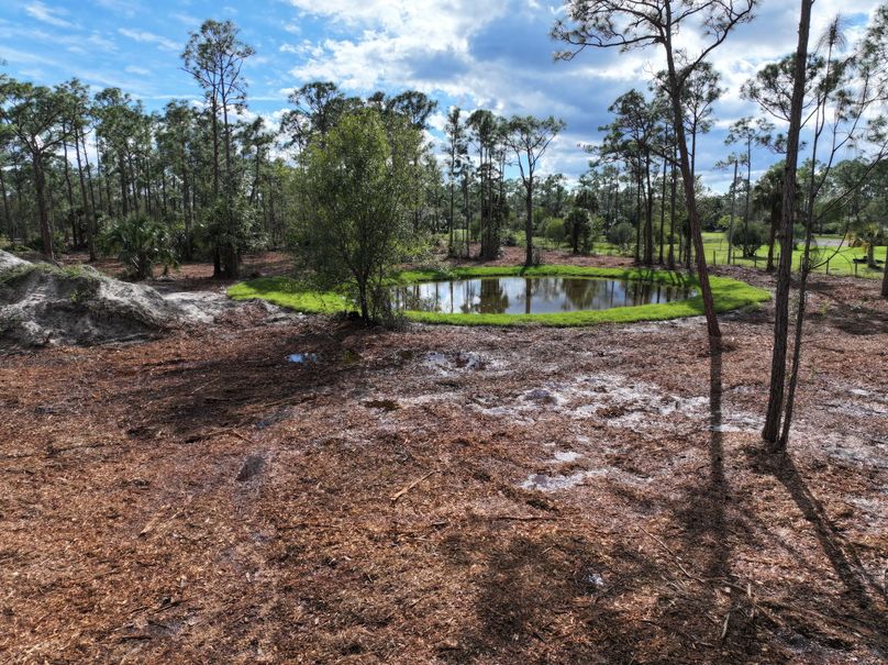 dji_fly_20231118_142150_0302_1700354055898_photo (1)