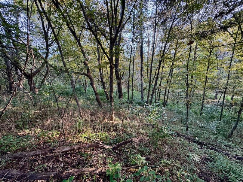 Richland 199Ground - 31