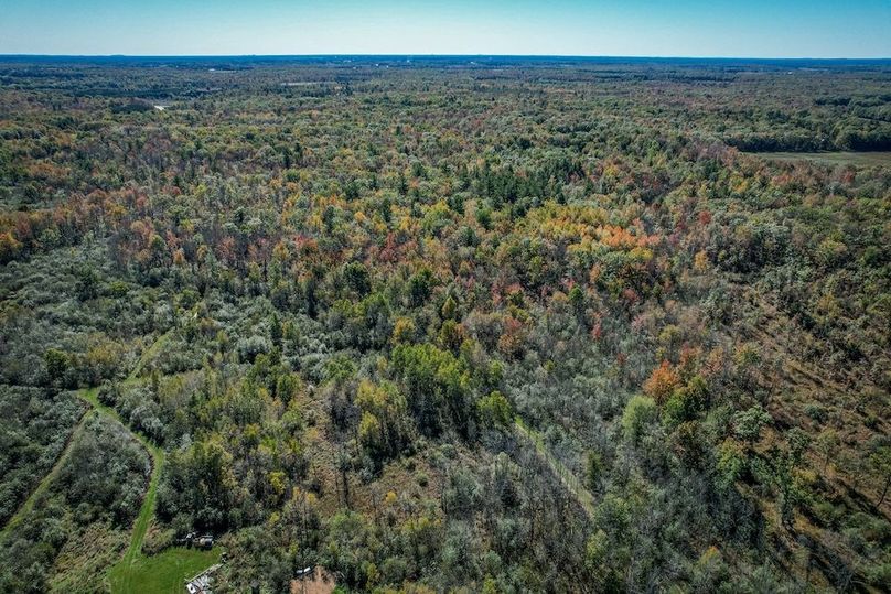 Wood 41.451, Collins -34