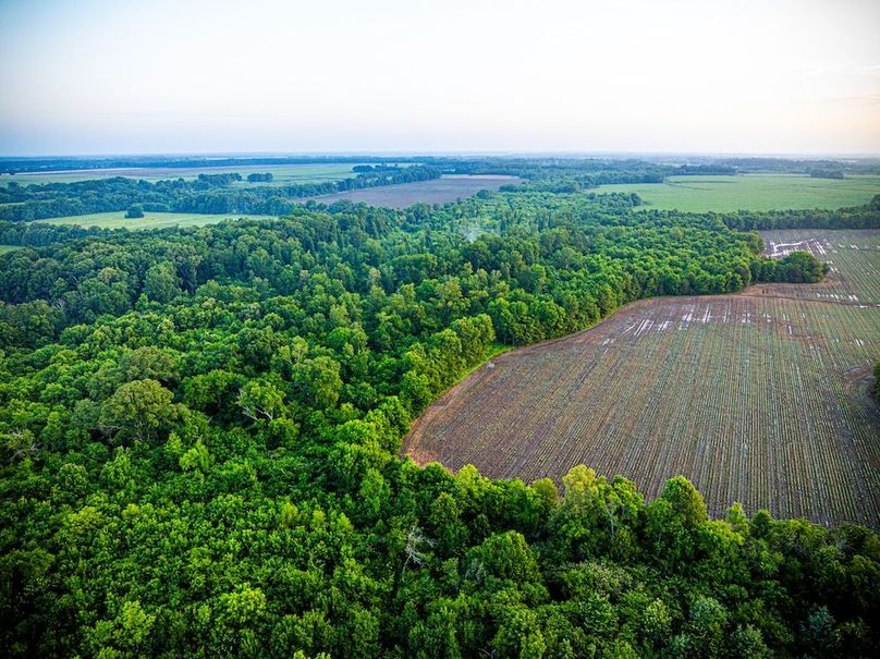 Copy of Noxubee 70 +- Tract 3-13