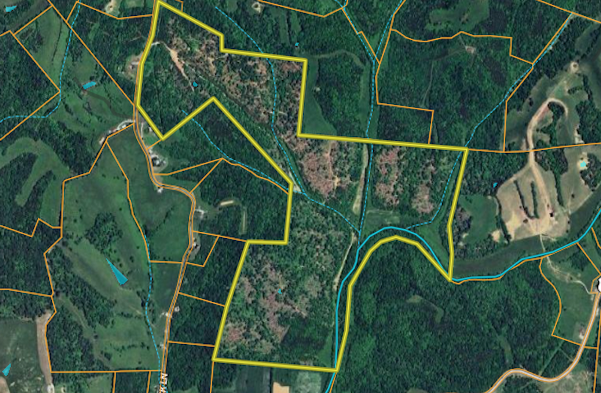 Screenshot 2025-08-12 at 12.18.54 PM