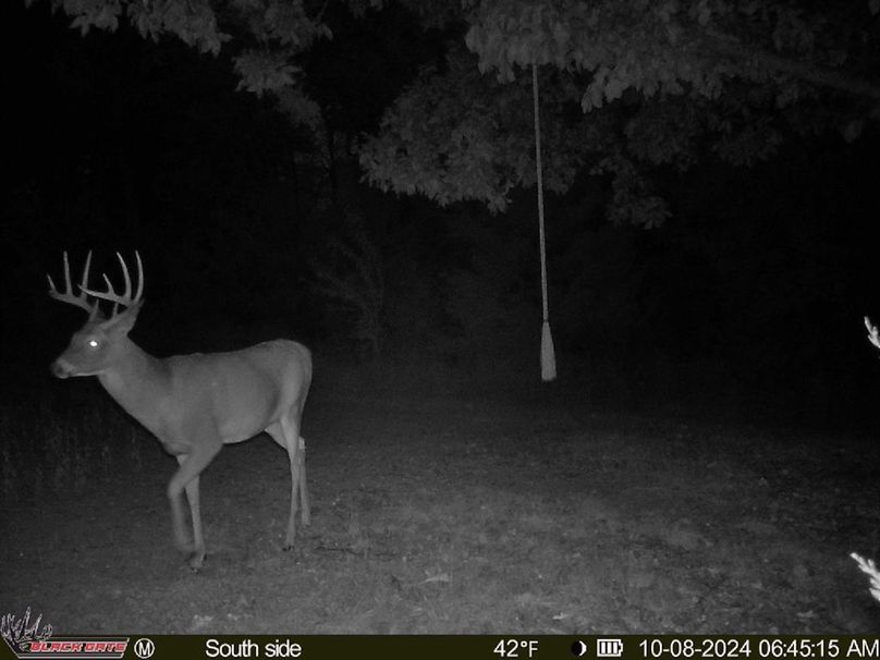 blackgate-media_168645099619155