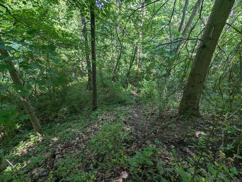 PXL_20240607_183721468