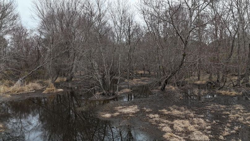 dji_fly_20260218_164754_0042_1771452052616_photo