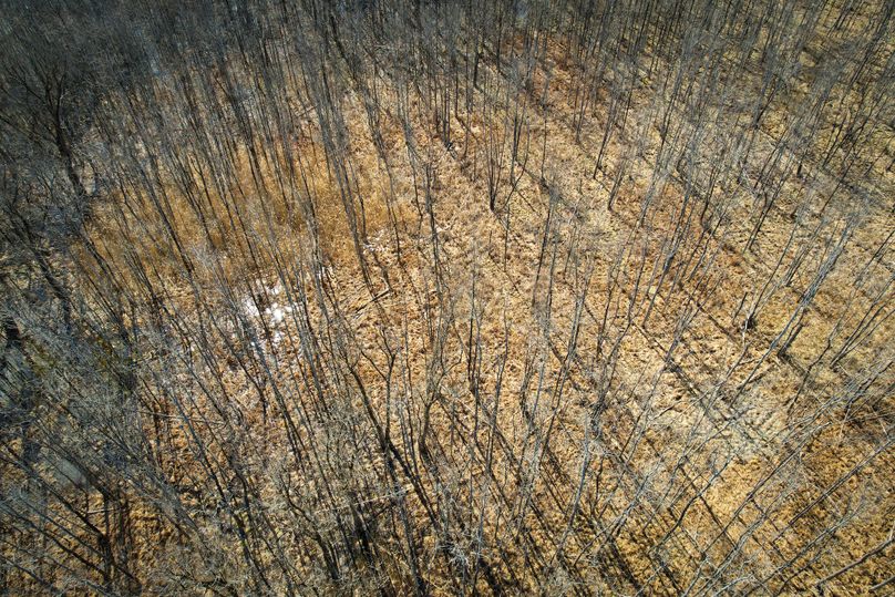 Oswego_165.52_Lashomb_Photos_19