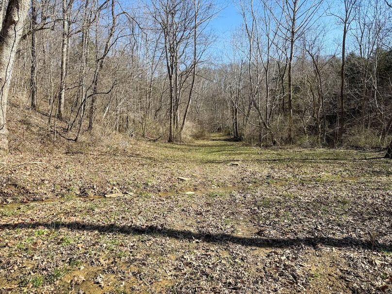 Fleming Petry 115-32