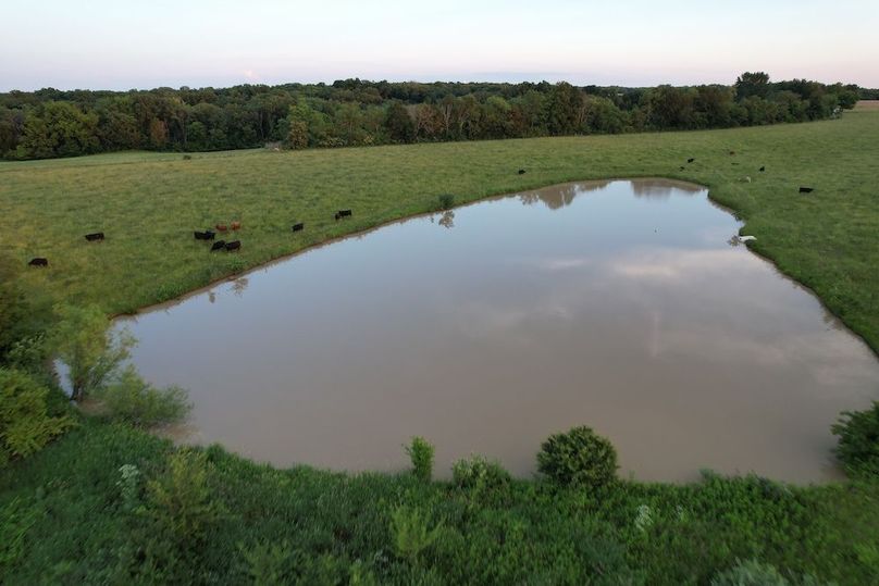 DJI_0342