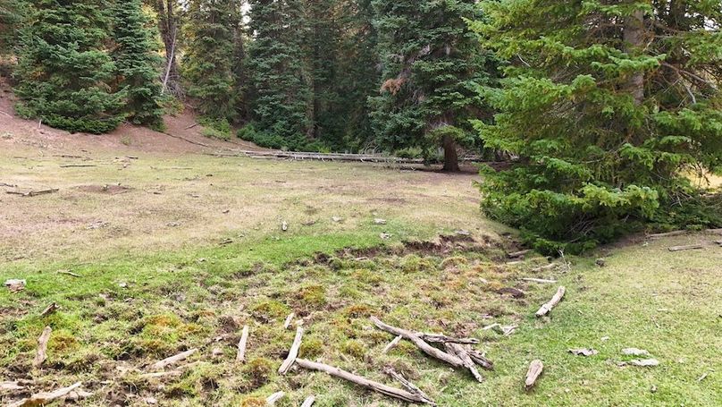 DJI_20250726184010_0230_D