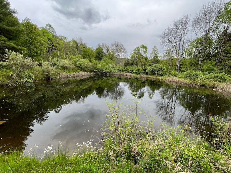 Tioga_78_Biada_Photos_76