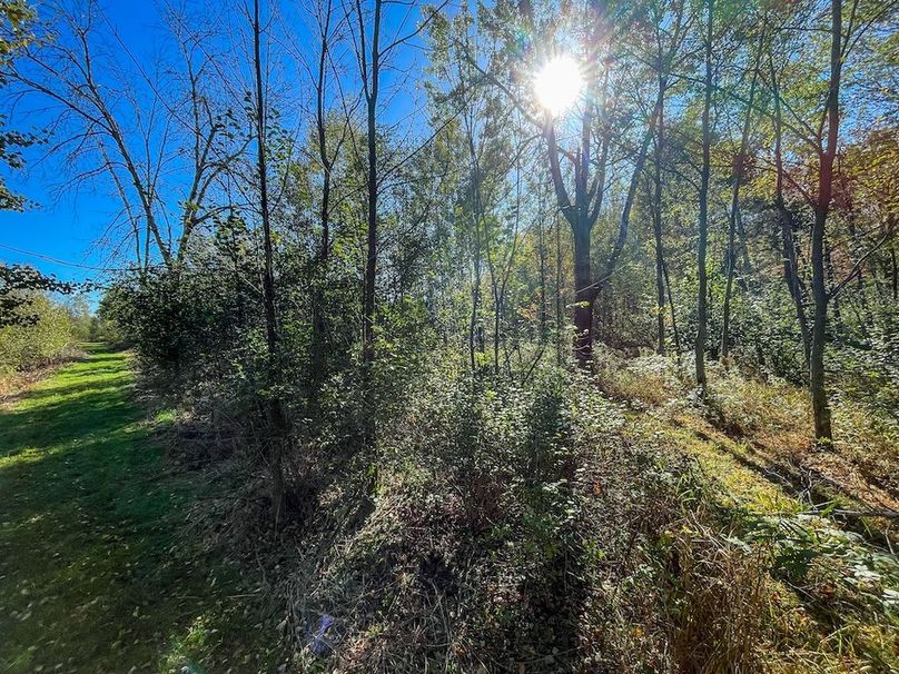 Wood 41.451, Collins -17