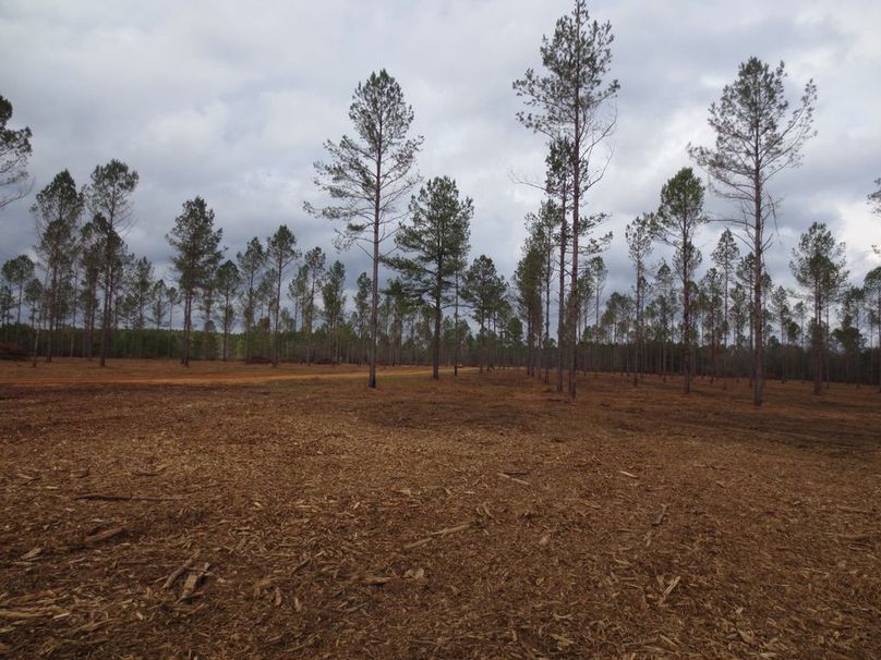 4D34574F-0D30-487A-837E-4DA31903DD83_1_105_c