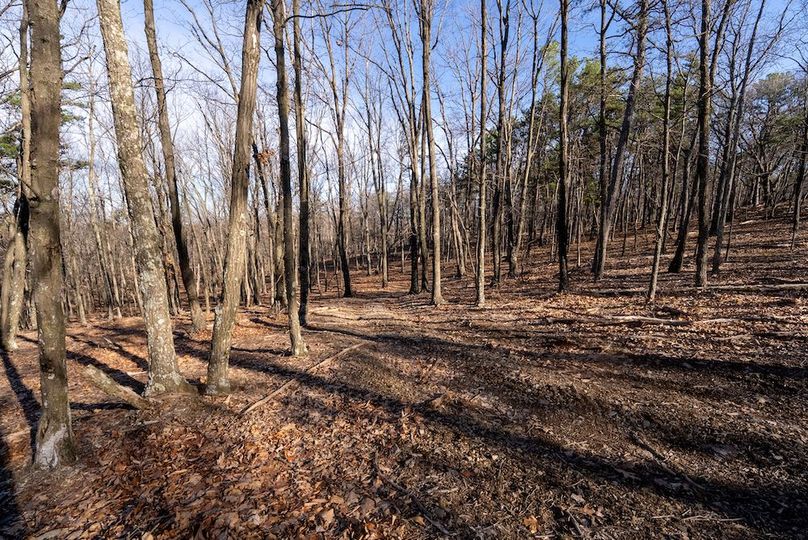 Copy of Hampshire WV 200 Featured_Pro Photo-4