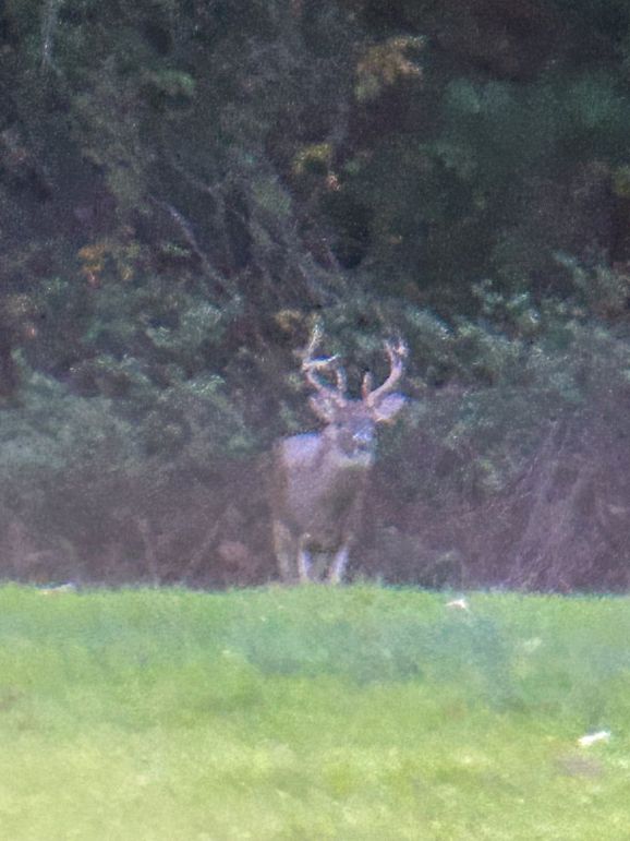 Claiborne Co - 274 - Marian-007