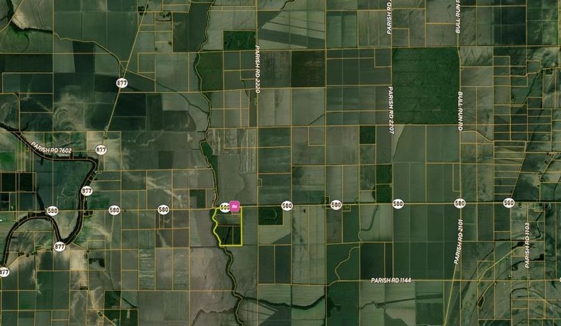 East Carroll. 115. Carter.  mid