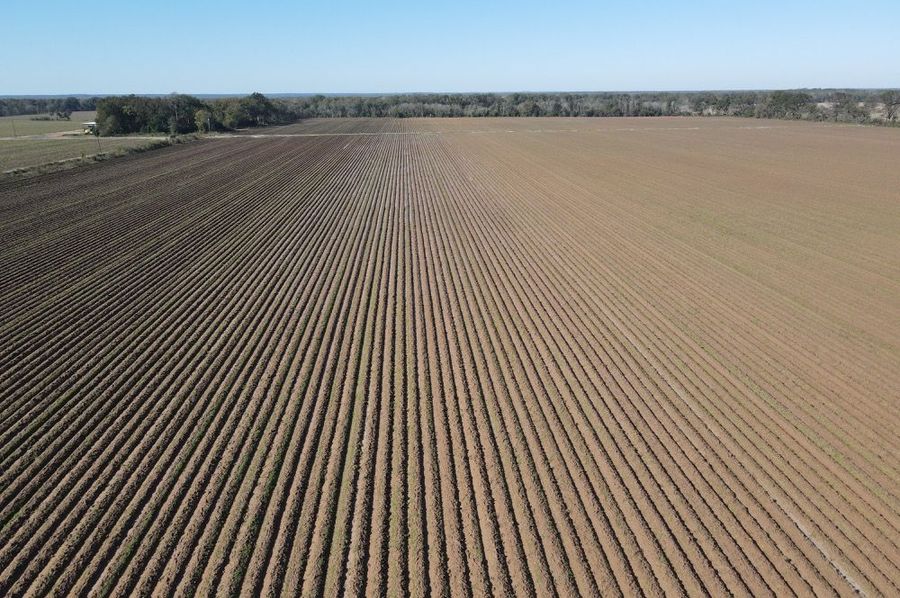 dji_fly_20241119_102804_361_1732033698638_photo