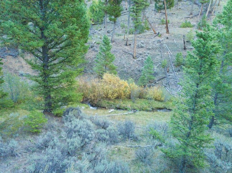 20240925-DJI_0117