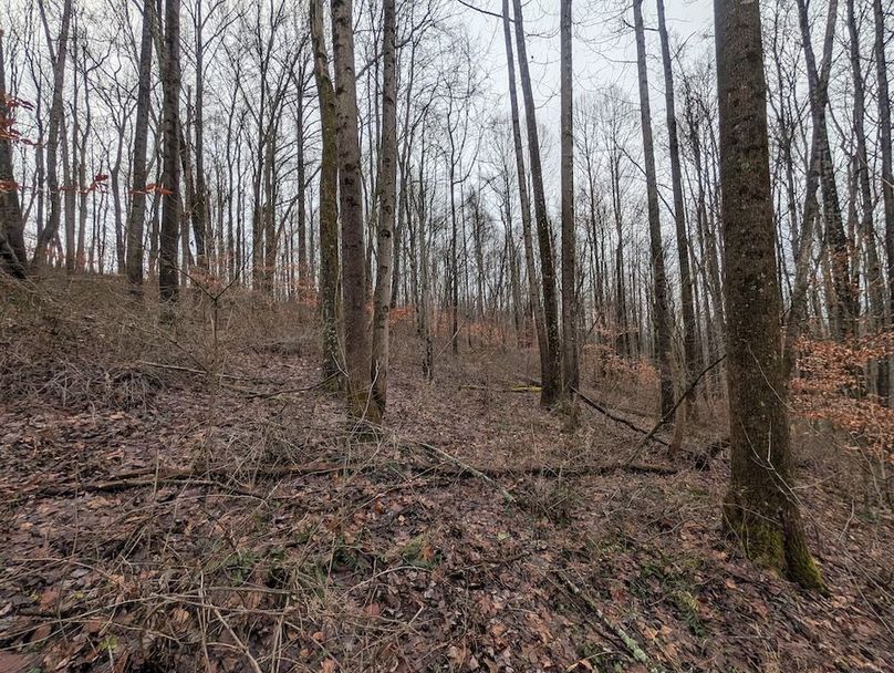 PXL_20260107_175454424