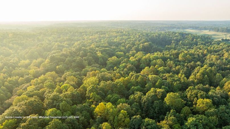 Tallahatchie 847 Messina-82