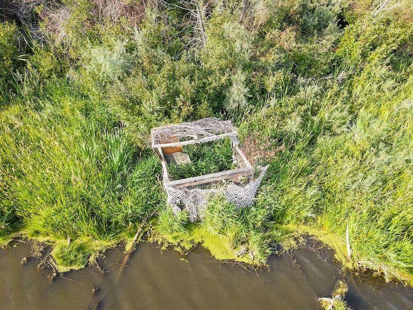 20250728-DJI_20250728183145_0022_D