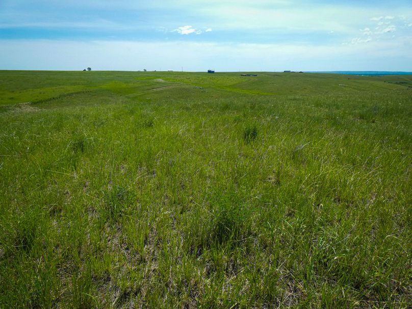 P1030566