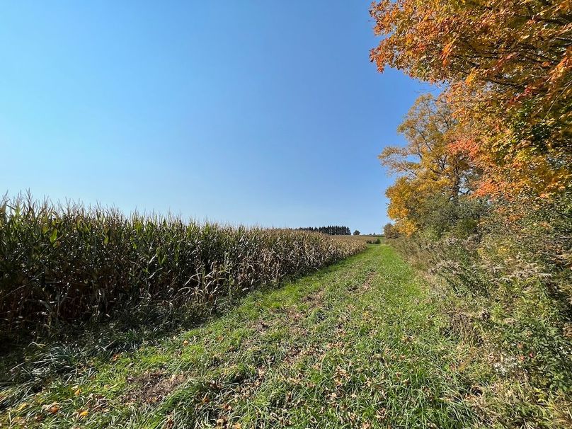 Yates_29_Stape Photo 36