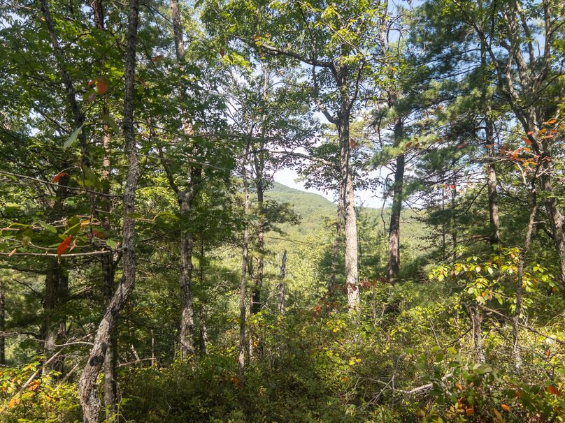 12_13.39_Alleghany_VA