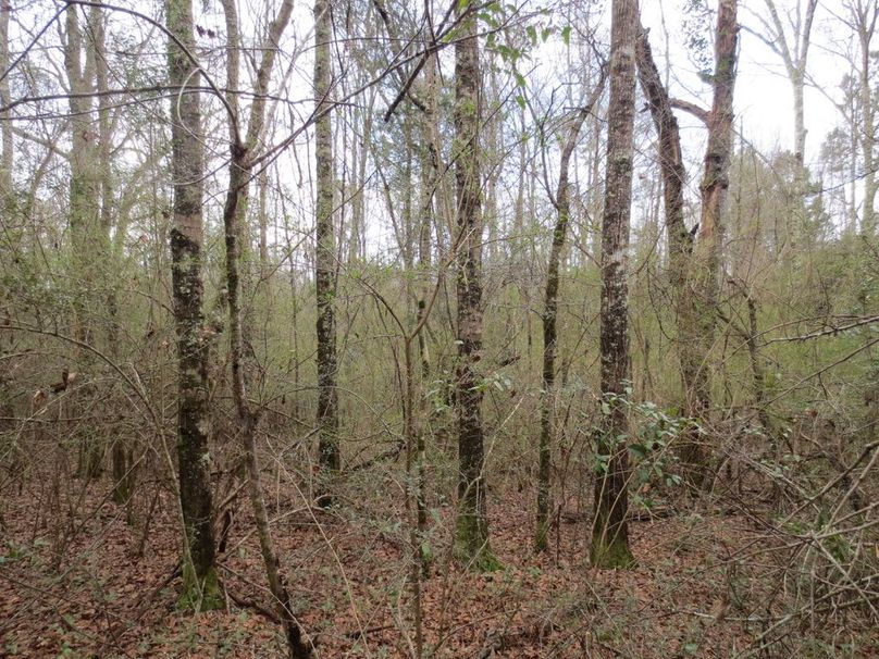 9E14AA47-848F-477A-B4CB-3BC4F9D9D0BD_1_105_c