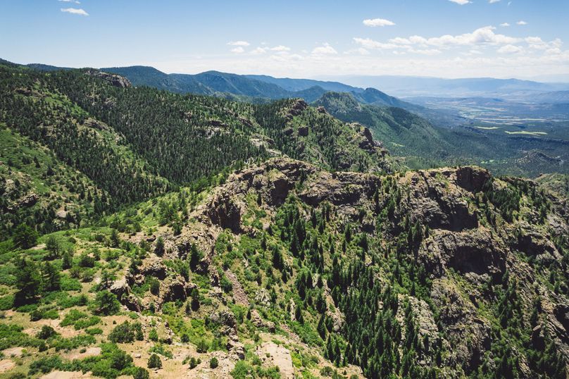 Teller Co 243.32 Kief - 014 Mountain Top